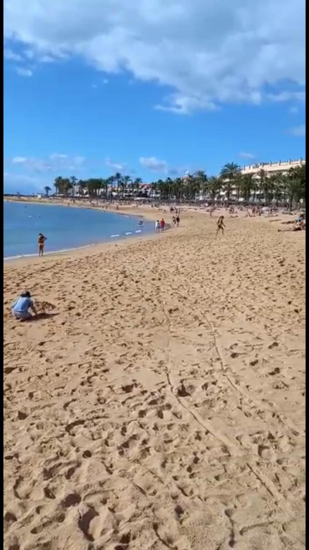 Chill Out Tenerife Sud - Monolocale Con Piscina Riscaldata Costa Del Silencio Extérieur photo